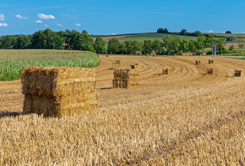 Heuballen auf einem Feld in Bayern