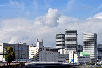 Fototapeta na wymiar 横浜中央市場方面の景色