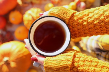 Autumn tea.  Mug of tea in female hands on a assortment of pumpkins  blurred background. Autumn...