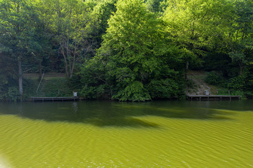 Obraz premium Angelplätze am Wispersee im Taunus/Deutschland