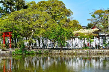 鎌倉鶴岡八幡宮の池に反射する弁天社の旗