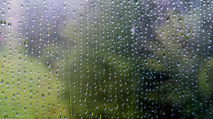 Naklejka na ściany i meble Rain drops on window with green tree in background