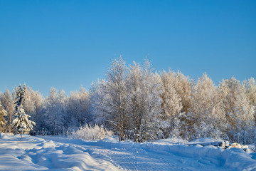 Fototapeta na wymiar Winter landscape with forest and field in a sunny day