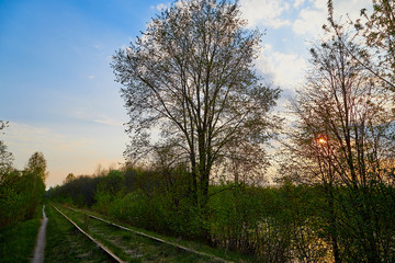 Obraz na płótnie Canvas Beautiful landscape with railway, trees and grass. Nature during sunset in spring evening