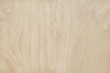 Plywood surface in natural pattern with high resolution. Wooden grained texture background.