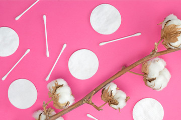 Cotton branch, pads and sticks on bright pink background. Cosmetology, healthcare concept. Flat lay, top view, mock up, copy space, layout design