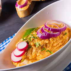 The perfect Bavarian obazda with radishes and onions