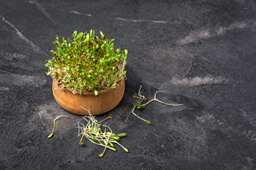 Microgreen or alfalfa sprouts as ingredient for healthy salad