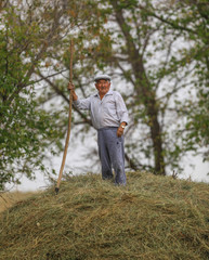old farmer with a pitchfork on a haystack