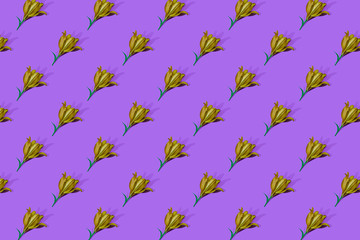 Pattern of golden lilies on purple background trend flat lay concept with fashionable toning. Many flowers pattern