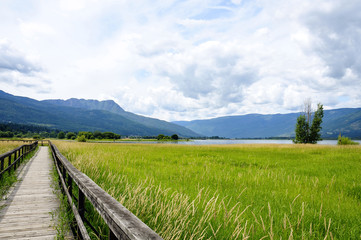 Salmon Arm lake, Canada 2