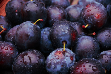 background of beautiful home plums