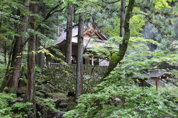 森の中にあるお寺、（池あり）