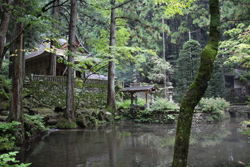 森の中にあるお寺、（池あり）