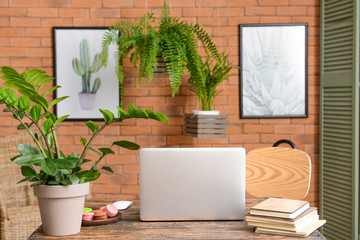 Stylish workplace with modern laptop and green plant