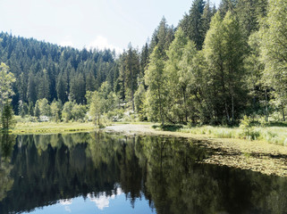 Schwarzwaldlandschaft. Der verlandende Ellbachsee ist von teils schwimmenden Schwingrasen umgeben.