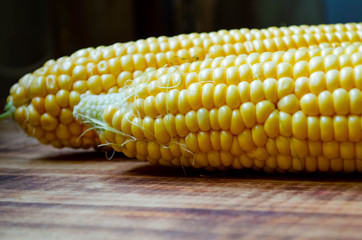 corn on the cob