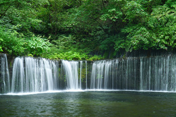 Fototapeta na wymiar 夏の白糸の滝