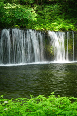 夏の白糸の滝