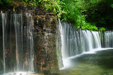 夏の白糸の滝