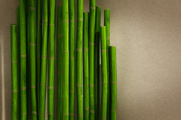 Green bamboo sticks on paper texture background. 3D illustration