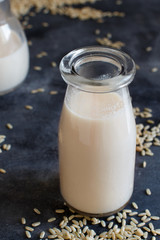 Vegan rice milk, non dairy alternative milk