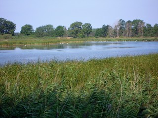 Radroute Seeadlerrundweg in der Oberlausitzer Heide- und Teichlandschaft