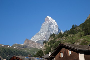 Matterhorn wandern mit Walliser Schwarzhalsziegen - 284271159