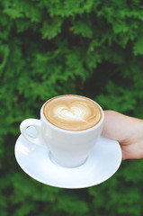 A cup of coffee in hand on a background of a green plant.