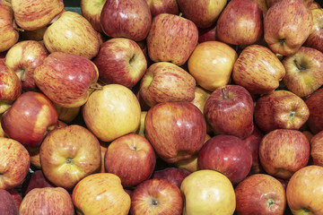 Closeup shot of fresh red and yellow apples