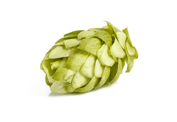 Fresh hop cones on a white background