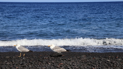 île de Vulcano