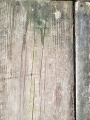 Texture o gray old wooden plank