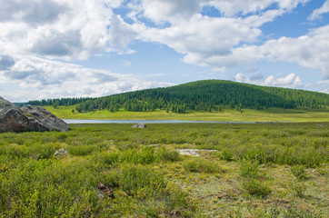 Fototapeta na wymiar Landscape of taiga against the background of high mountains among lake Altai in Russia