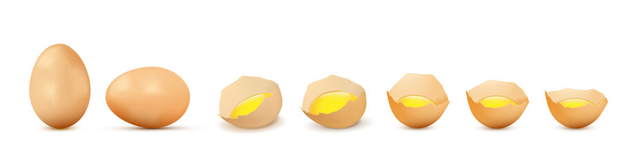 Realistic vector brown eggs and yolk isolated white background