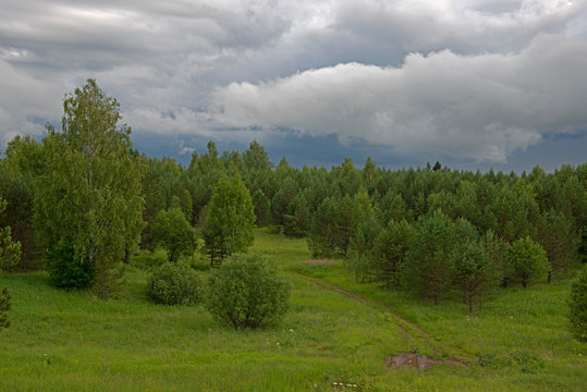 Natural landscape - the Ural forest after rain