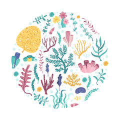 Seaweed Circle. Vector illustration for your design