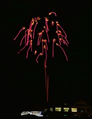 《大曲の花火》秋田県大仙市