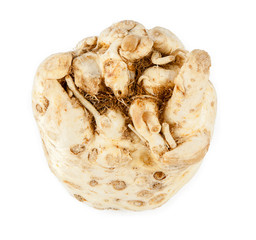 Celery root on a white background (view from a different angle in the portfolio)