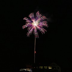 《大曲の花火》秋田県大仙市