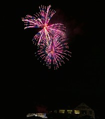 《大曲の花火》秋田県大仙市