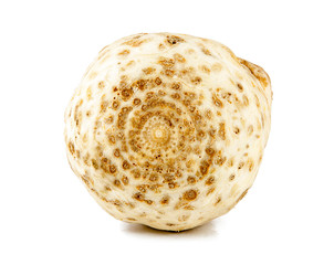 Celery root on a white background (view from a different angle in the portfolio)