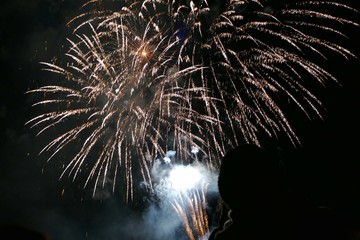 《大曲の花火》秋田県大仙市