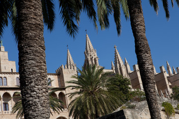 Palma de Mallorca Spain Cathedral