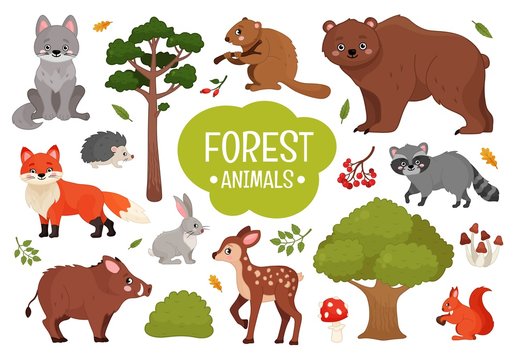 Vector set forest animals. Illustration of cartoon cute animals.