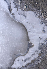 Ice crust on a winter puddle, similar to a woman’s chest.