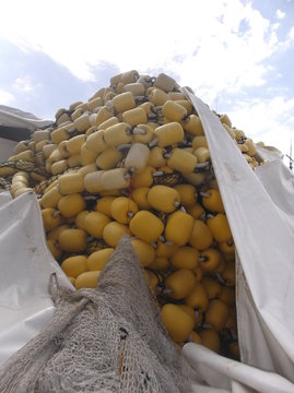 Amas de bou&eacute;s jaunes