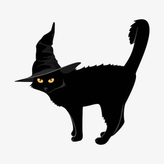 Design elements for halloween. Halloween characters. Black cat in a black hat on a white background.