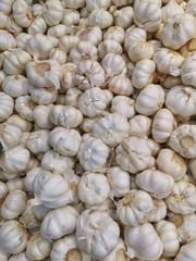 RAW GARLIC