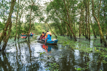 Tourism rowing boat in cajuput forest in floating water season in Mekong delta, Vietnam